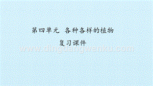 湘科版一年級下冊科學課件- 第四單元各種各樣的植物 復習課件(共18張PPT).pptx