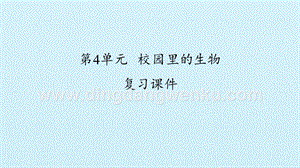 粵教版一年級下冊科學課件-第4單元校園里的生物復習課件(共32張PPT).pptx