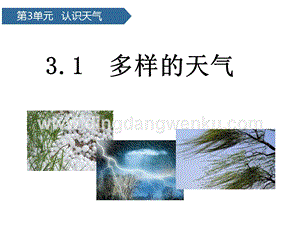 青島版（六三制）二年級下冊科學(xué)課件-第7課多樣的天氣(共12張PPT).pptx