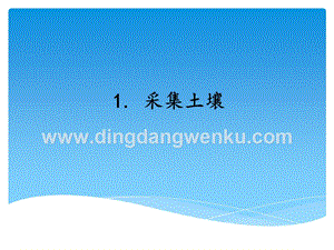 湘科版三年級上冊科學課件－3.1采集土壤(共8張PPT).ppt