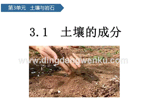 青島版（六三制）三年級上冊科學課件－第9課土壤的成分(共11張PPT).pptx