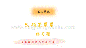 大象版三年級下冊科學3.5《碩果累累》 練習題（含答案）.pptx