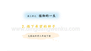 大象版三年級下冊科學3.2播下希望的種子教學課件.pptx
