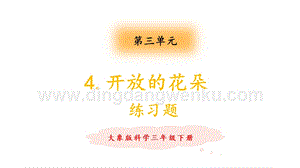 大象版三年級下冊科學3.4《開放的花朵》 練習題（含答案）.pptx