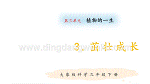 大象版三年級(jí)下冊(cè)科學(xué)3.3茁壯成長(zhǎng)教學(xué)課件.pptx