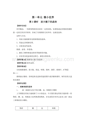 教科版六年級下冊科學(xué)第3課時放大鏡下的晶體 教案.doc