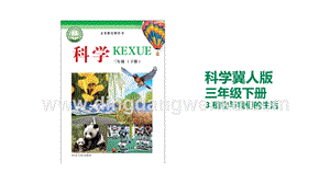 冀人版三年級下冊科學3.植物與我們的生活 教學課件.pptx
