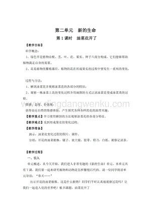 教科版四年級下冊科學第1課時油菜花開了 教案.doc