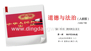 人教部編版八年級下冊道德與法制1.1 公民權利的保障書（一） 課件與素材.pptx