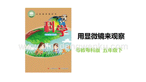 粵教粵科版五年級下冊科學用顯微鏡來觀察教學課件.pptx