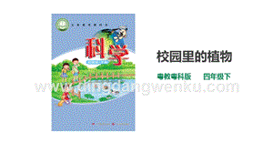 粵教粵科版小學科學四下第一單元第6課時《校園里的植物》課件.ppt