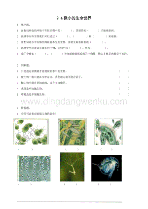 粵教粵科版五年級下冊科學微小的生命世界練習.doc