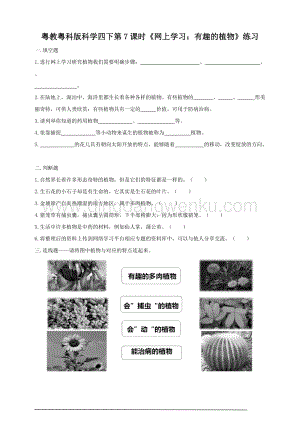 粵教粵科版小學科學四下第一單元第7課時《網上學習：有趣的植物》練習.doc