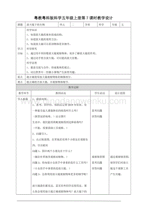 粵教粵科版五年級下冊科學放大鏡下的生物教案.doc