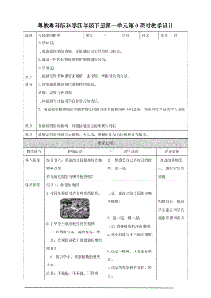 粵教粵科版小學科學四下第一單元第6課時《校園里的植物》教案.doc