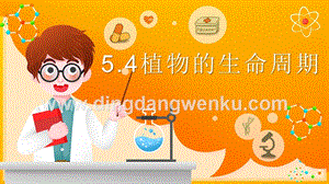 2020新湘科版三年級(jí)下冊(cè)科學(xué)5.4植物的生命周期 教學(xué)課件.ppt