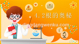 2020新湘科版三年級(jí)下冊(cè)科學(xué)4.2根的奧秘 教學(xué)課件.pptx