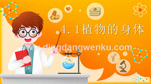 2020新湘科版三年級(jí)下冊(cè)科學(xué)4.1植物的身體 教學(xué)課件.pptx