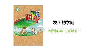 粵教粵科版五年級下冊科學2.11《發面的學問》教學課件.pptx