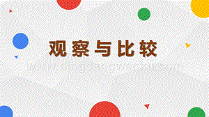 教科版二年級下冊科學(xué)3.觀察與比較-教學(xué)課件.pptx