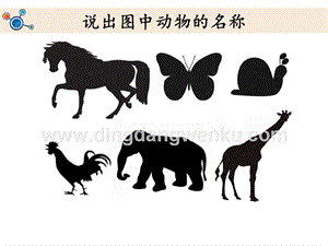 教科版二年級下冊科學1.觀察我們的身體-教學課件.ppt