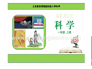 湘科版一年級上冊科學1.3《給物體分類》教學課件（共12PPT）.ppt