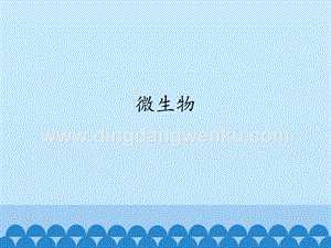 首師大版六年級下冊科學課件 -3 微生物(共12張PPT).pptx