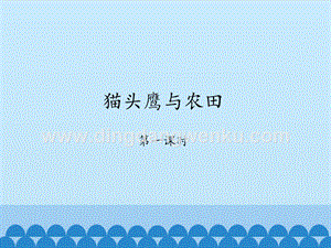 首師大版六年級上冊科學課件-6貓頭鷹與農田-(共22張PPT).pptx