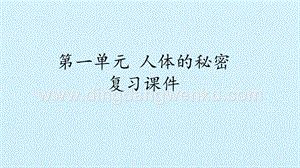 首師大版六年級上冊科學課件-第一單元人體的秘密復習課件(共25張PPT).pptx