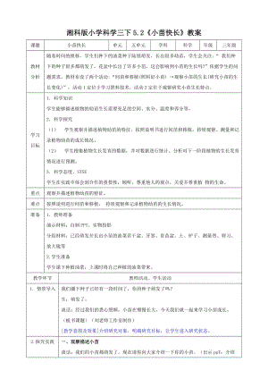 湘科版三年級下冊科學5.2《小苗快長》教案.doc