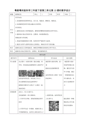 粵教粵科版三年級下冊科學第三單元第13課時《植物的莖》教案.doc