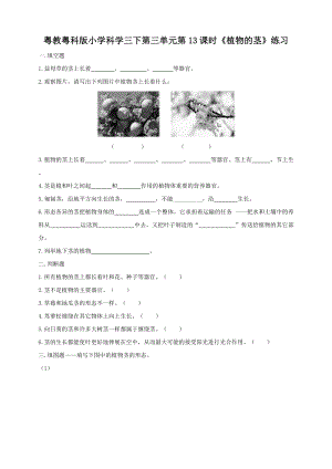 粵教粵科版三年級下冊科學第三單元第13課時《植物的莖》練習題附答案.doc