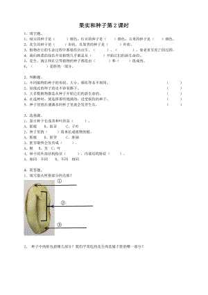 粵教粵科版三年級下冊科學《果實和種子》第2課時練習題附答案.doc