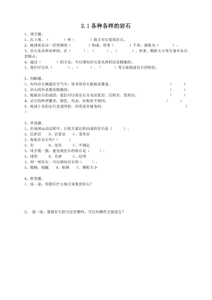 粵教粵科版四年級上冊科學《各種各樣的巖石》練習題附答案.doc