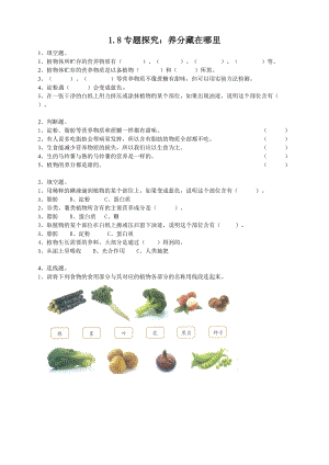 粵教粵科版四年級上冊科學《專題探究：養分藏在哪里》練習題附答案.doc