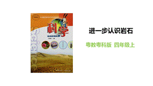 粵教粵科版四年級上冊科學(xué)《進(jìn)一步認(rèn)識巖石》教學(xué)課件.pptx