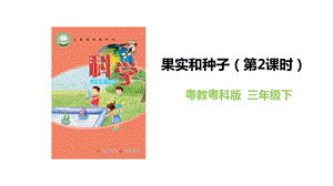 粵教粵科版三年級下冊科學《果實和種子》第2課時教學課件.pptx