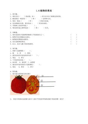 粵教粵科版四年級(jí)上冊(cè)科學(xué)《植物的果實(shí)》練習(xí)題附答案.doc