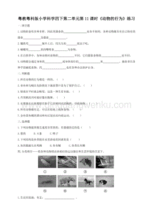 粵教粵科版小學科學四下第二單元第11課時《動物的行為》練習.doc