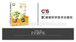 湘科版三年級下冊科學(xué)第4單元第1課-植物的“身體” 教學(xué)課件（含視頻素材）.pptx