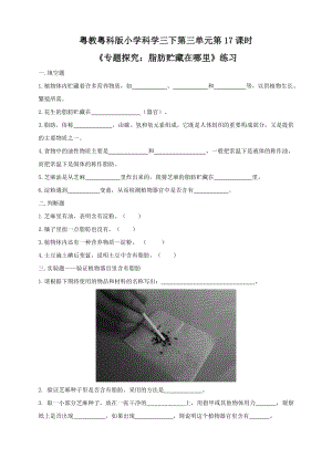粵教粵科版小學科學三年級下冊第17課時《專題探究：脂肪貯藏在哪里》練習題附答案.doc