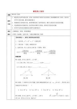 初中數學九年級下冊第1章解直角三角形1.3解直角三角形教案新版浙教版.doc