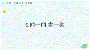 青島版一年級上冊科學第二單元第6課聞一聞嘗一嘗【課件】.pptx