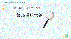 青島版一年級上冊科學第五單元第15課放大鏡【課件】.pptx