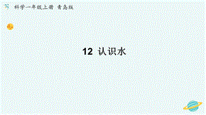 青島版一年級(jí)上冊(cè)科學(xué)12《認(rèn)識(shí)水》【課件】.pptx