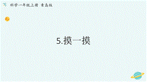 青島版一年級上冊科學第二單元第5課摸一摸【課件】.pptx