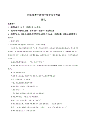 2018年山東省棗莊市初中學業水平考試語文試題（word版 解析版）.doc