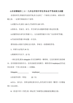 2019年山東省聊城市中考語文試題（word版含答案）.docx