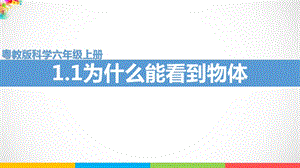 新粵教粵科版六年級(jí)上冊(cè)科學(xué)1.1《為什么能看到物體》課件(含視頻素材）.ppt