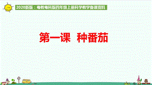 粵教粵科版四年級上冊科學1.1種番茄課件.ppt